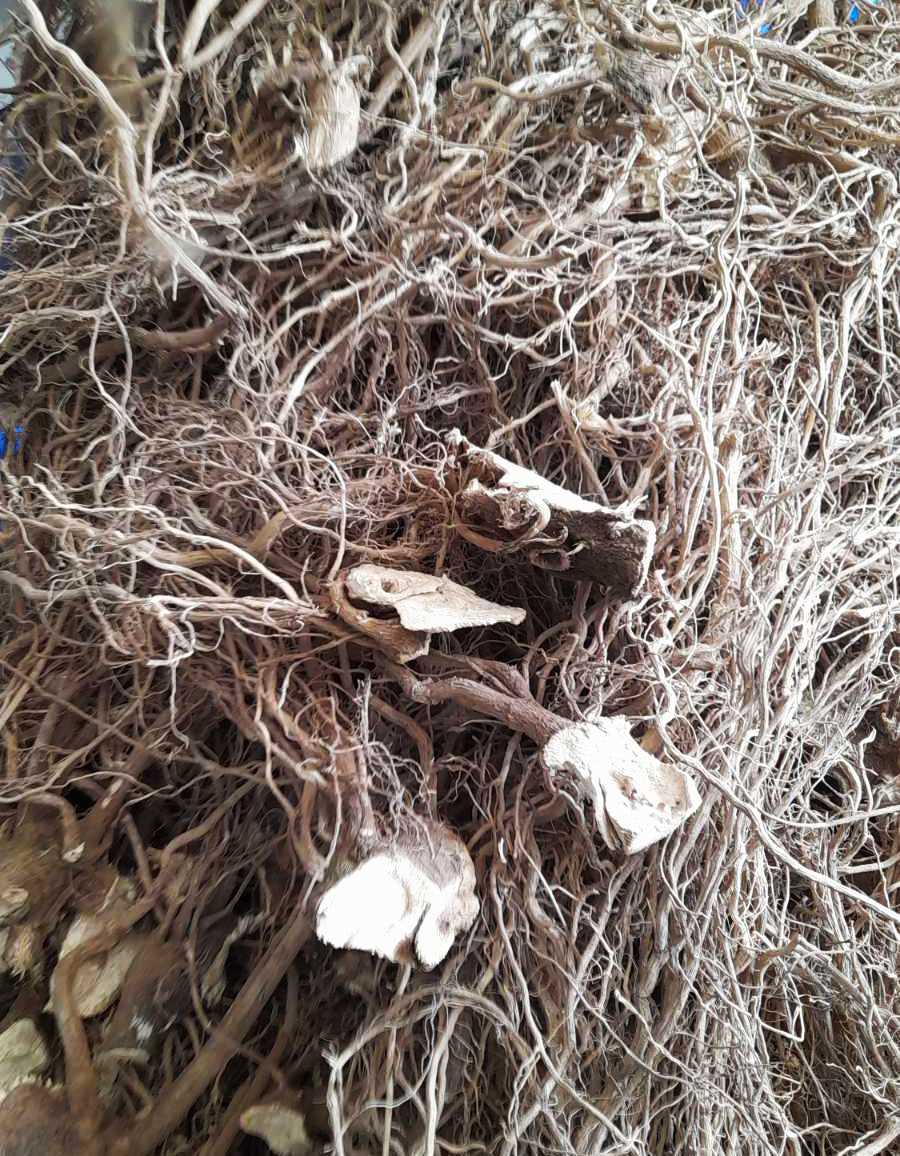 Single Cultivar Kava Powder